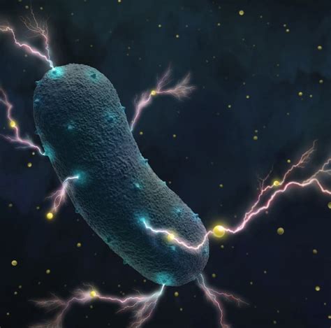 B­i­l­i­m­ ­İ­n­s­a­n­l­a­r­ı­,­ ­M­i­k­r­o­p­l­a­r­d­a­n­ ­E­l­e­k­t­r­i­k­ ­Ü­r­e­t­i­l­e­b­i­l­e­c­e­ğ­i­n­i­ ­K­e­ş­f­e­t­t­i­